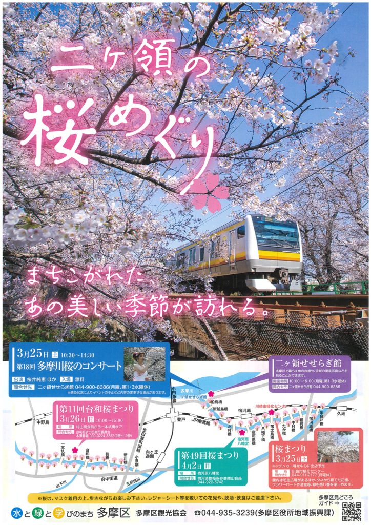 3/25(土)桜まつりのお知らせ | 川崎市緑化センター