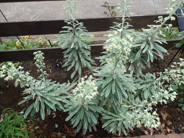 画像に alt 属性が指定されていません。ファイル名: P3284195.jpg